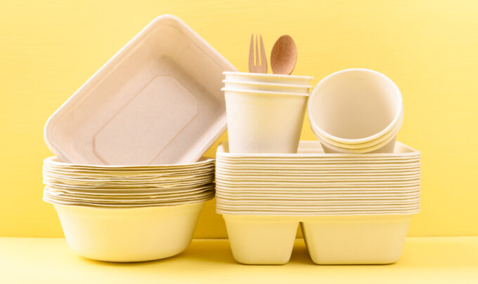 Market analysis of molded fiber food packaging