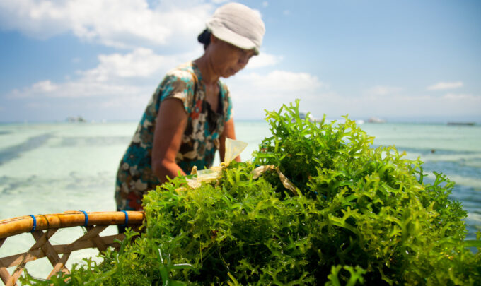 Navigating the Plant-Based Seafood Frontier: Insights from Maarten Geraets