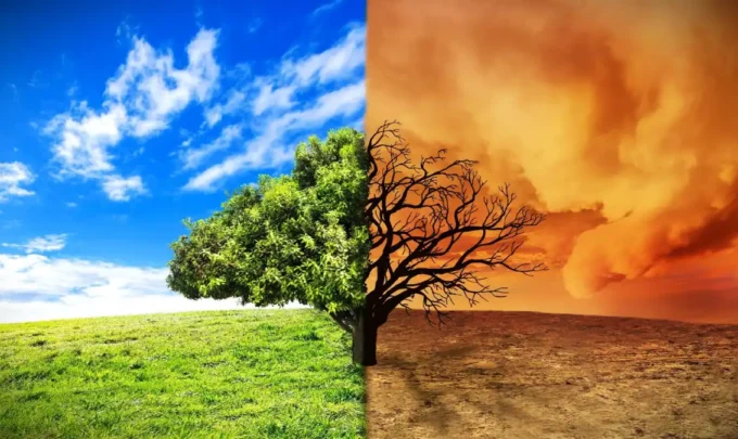 How successful are countries with climate change policies?