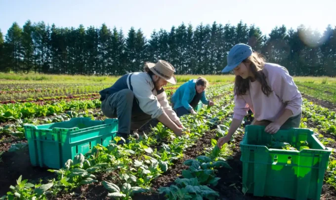 Profiling innovations in compaction technologies applicable in fertilizer production