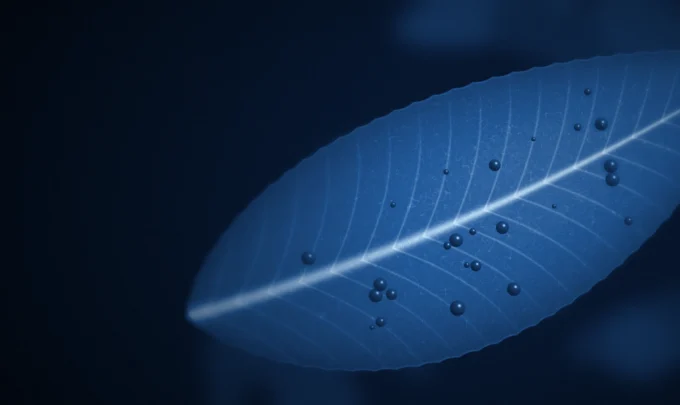 Building an innovation sensing program for natural bioactives